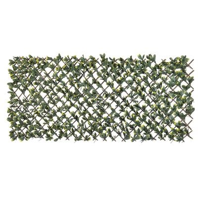 Nature Traliccio Ligustro California 90x180cm Foglie Verde e Giallo