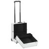 vidaXL Valigia Trolley per Cosmetici 35x29x45 cm in Alluminio Argento