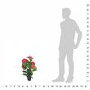 Immagine miniatura del prodotto 3 di 3