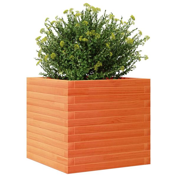 vidaXL Fioriera Giardino Marrone Cera 50x50x45,5cm Legno Massello Pino