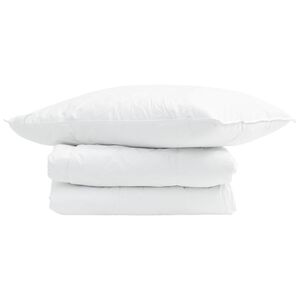 vidaXL Duvet Estivo con cuscino 2 pz Bianco Piuma d'anatra