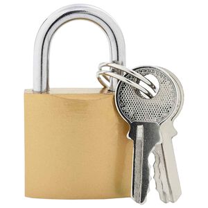 vidaXL U Lock con Chiavi 12 pz Ottone Ferro