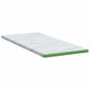 vidaXL Topper per materasso Bianco e Verde 180 x 200 x 6 cm