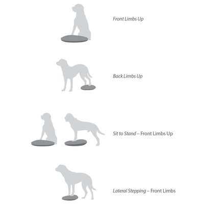 FitPAWS Disco per l'Allenamento dell'Equilibrio per Cani 56 cm Lampone