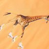 Immagine miniatura del prodotto 4 di 7