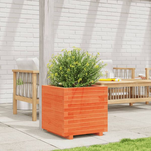 vidaXL Fioriera Giardino Marrone Cera 50x50x49,5cm Legno Massello Pino