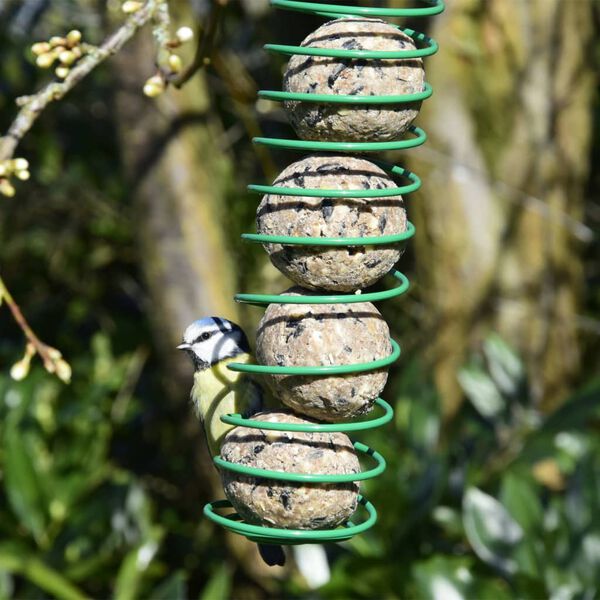 dobar Palline di Grasso Gourmet per Uccelli 100 pz