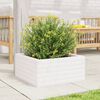 vidaXL Fioriera da Giardino Bianca 50x50x23 cm Legno Massello di Pino