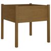 vidaXL Fioriere 2 pz Ambra 70x70x70 cm in Legno Massello di Pino