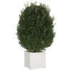 vidaXL Fioriere da Giardino 2 pz Bianche 40x40x40 cm Massello di Pino