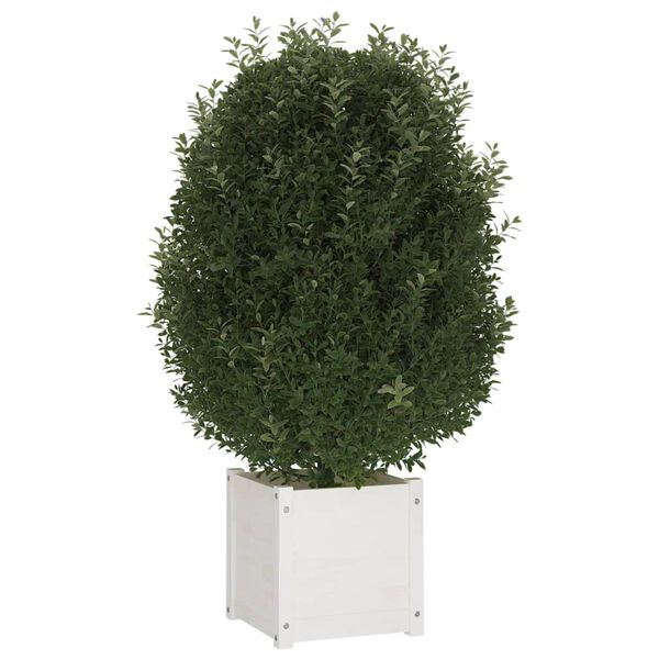 vidaXL Fioriere da Giardino 2 pz Bianche 40x40x40 cm Massello di Pino