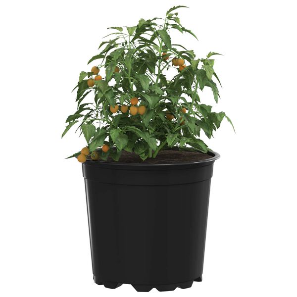 vidaXL Vaso per Fiori 100 pcs Nero &Oslash; 15 x 13 cm Plastica