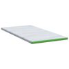 vidaXL Topper per materasso Bianco e Verde 120 x 200 cm