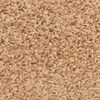 vidaXL Tappetini per scale 15 pz 56x17x3 cm Beige Semicircolari