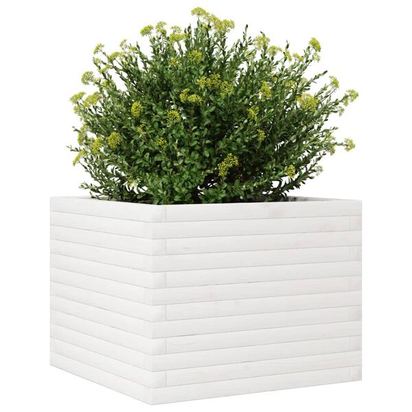 vidaXL Fioriera da Giardino Bianca 60x60x45,5cm Legno Massello di Pino