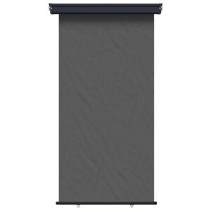 vidaXL Tenda laterale per balcone 117 x 250 cm