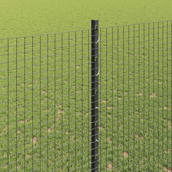Visualizzazione immagine prodotto 4 di 14