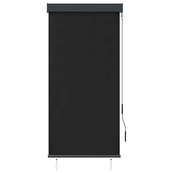 vidaXL Tenda a Rullo per Esterni 80x250 cm Antracite