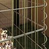 Immagine miniatura del prodotto 3 di 8