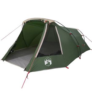 vidaXL Tenda a tunnel con tetto Verde e Bianco 328 x 228 x 115 cm