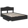vidaXL Letto con Contenitore Nero 150 x 200 cm Legno multistrato