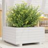 vidaXL Fioriera da Giardino Bianca 50x50x26,5cm Legno Massello di Pino