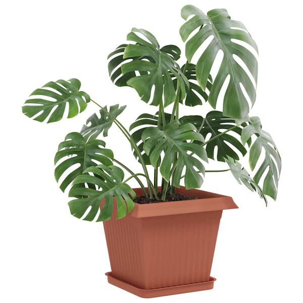 Visualizzazione immagine prodotto 3 di 12
