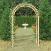 vidaXL Arco da Giardino 141x97x243 cm in Legno di Pino Impregnato