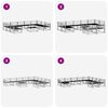 vidaXL Set di divani da esterno 10 pcs Naturale