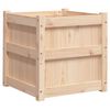 vidaXL Fioriera da Giardino 50x50x50 cm in Legno Massello di Pino