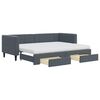 VidaXL Divano Letto Estraibile Con Cassetti, Grigio Scuro, Velluto, 80x200 Cm, Con Materassi In Schiuma