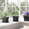 vidaXL Vaso quadrato per fiori 6 pcs Nero 16 x 16 x 14 cm Plastica