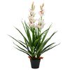 vidaXL Orchidea Cymbidium Artificiale con Vaso 100 cm Verde