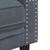vidaXL Divano Chesterfield con Rinforzi 2 Posti Grigio Scuro Velluto