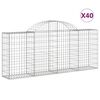 vidaXL Cesti Gabbioni ad Arco 40 pz 200x30x80/100 cm Ferro Zincato