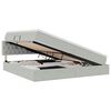 vidaXL Letto con contenitore e LED Grigio chiaro 200 x 200 cm Velluto