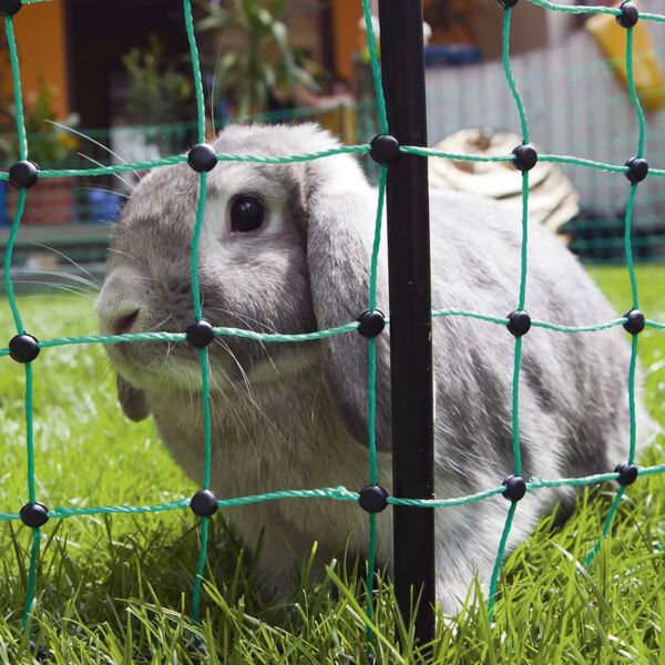 Kerbl Set Recinto a Rete Elettrificata per Conigli 65 m 292209