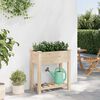 vidaXL Vaso da giardino con lo scaffale Beige 71 x 37 x 76.5 cm