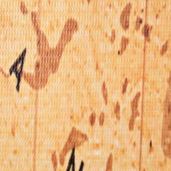 vidaXL Paravento Pieghevole 160x170 cm Stampa Mappa del Mondo Giallo