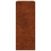 vidaXL Rack per Legna da Ardere 60x40x100 cm in Acciaio Corten