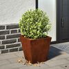 vidaXL Fioriere da Giardino 2 pz 30x30x30 cm in Acciaio Corten