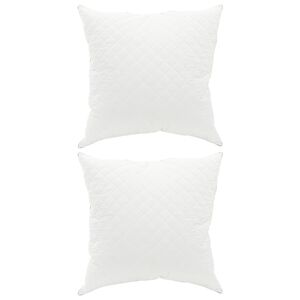 vidaXL Cuscino FULDA 2 pz 60 x 60 cm 100% piuma d&rsquo;oca e piumino Bianco
