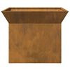 vidaXL Focolare Ruggine 50 x 50 x 40 cm acciaio corten