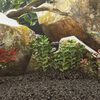 Immagine miniatura del prodotto 2 di 5