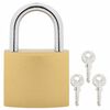 vidaXL U Lock con Chiavi 100 pcs Ottone Ferro