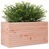 vidaXL Fioriera da Giardino 90x40x46 cm in Legno Massello di Douglas