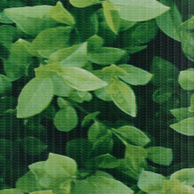 vidaXL Recinzione Frangivento da Giardino PVC 35x0,19 m Verde