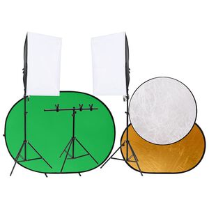 vidaXL Kit Studio Fotografico con Luci Fondale e Riflettore
