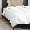 vidaXL Duvet Estivo con cuscino 2 pcs Bianco Piuma d'anatra