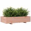 vidaXL Fioriera da Giardino 110x60x26,5 cm Legno Massello di Douglas